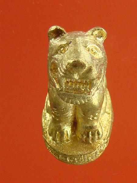 DSC01092 (Medium).JPG