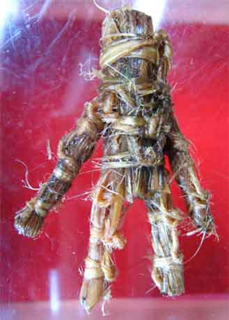 p2.jpg