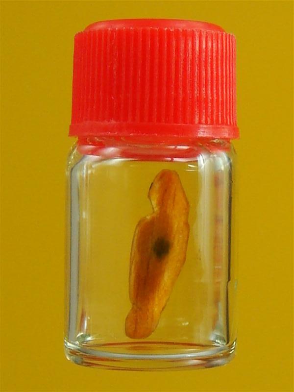 DSC03914 (Medium).JPG