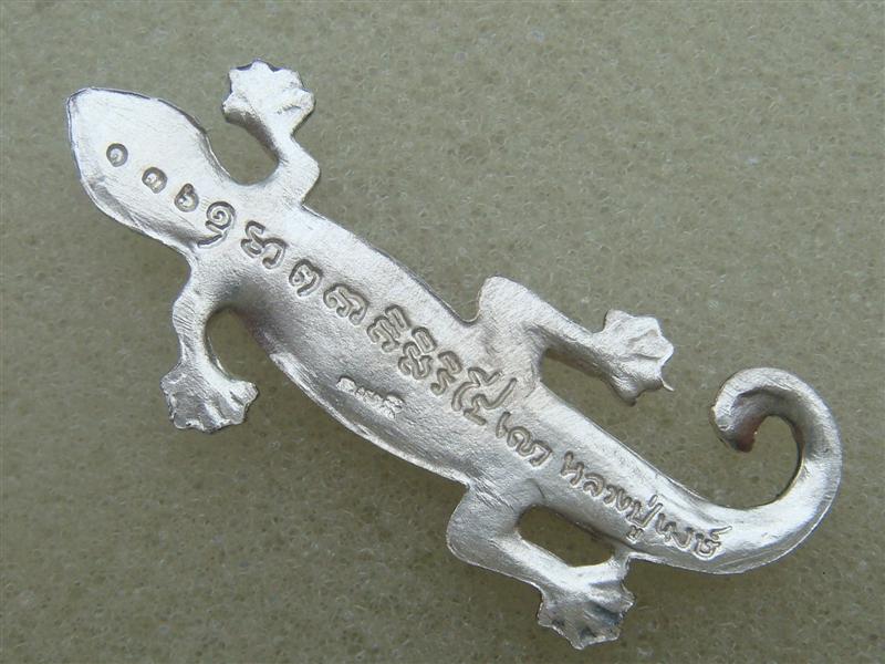 DSC01452 (Medium).JPG