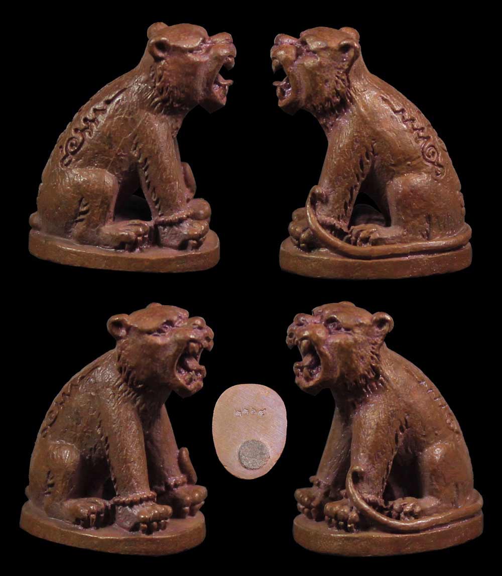 เสือพ่อโปร่ง.jpg เสือพ่อโปร่ง.jpg