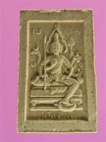 DSC09684 (Medium) (Small).JPG