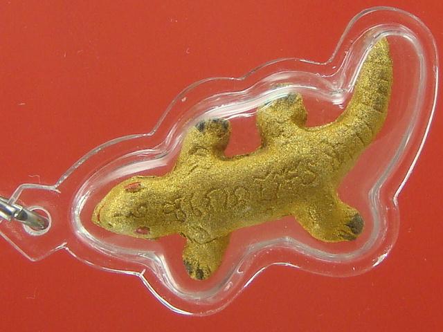 DSC07950 (Small).JPG