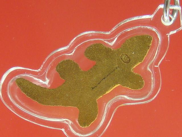 DSC07951 (Small).JPG