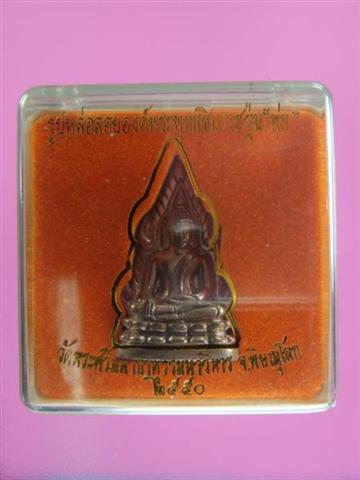 DSC09703 (Medium) (Small).JPG