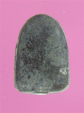 DSC09713 (Medium) (Small).JPG