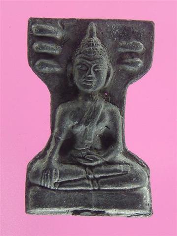 DSC09716 (Medium) (Small).JPG