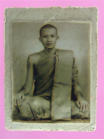 DSC09735 (Medium) (Small).JPG