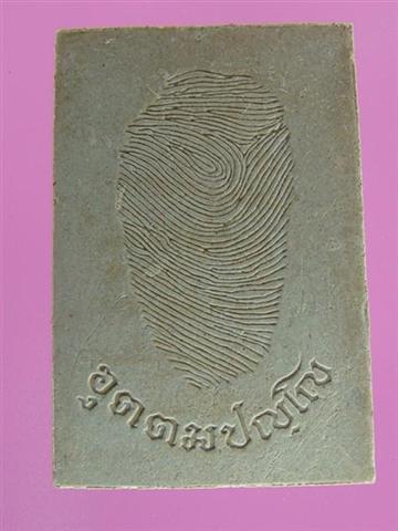 DSC09739 (Medium) (Small).JPG