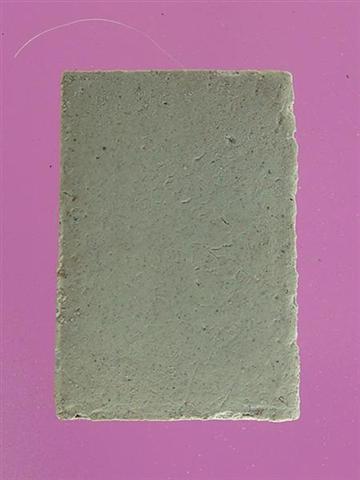 DSC09749 (Medium) (Small).JPG