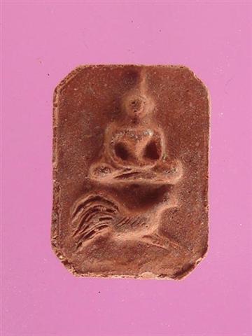 DSC09754 (Medium) (Small).JPG