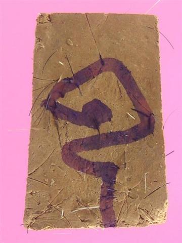 DSC09648 (Medium) (Small).JPG