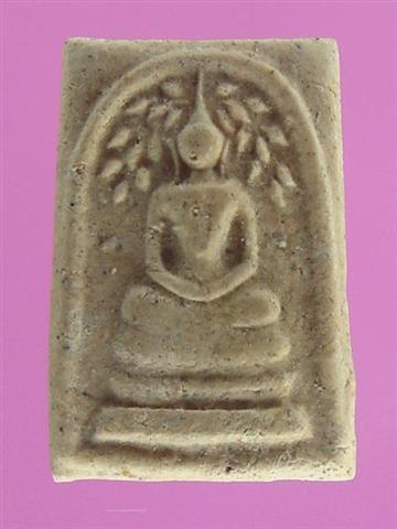 DSC09649 (Medium) (Small).JPG