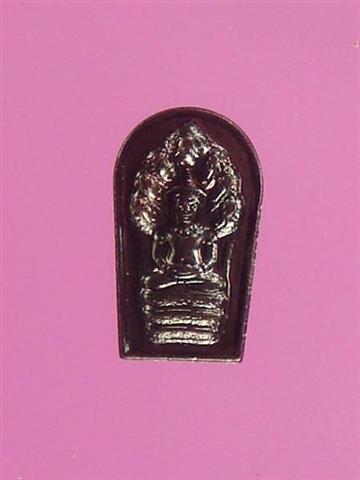 DSC09657 (Medium) (Small).JPG