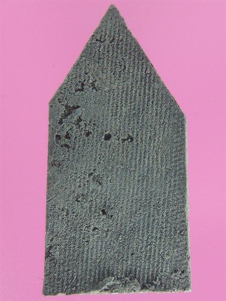 DSC09985 (Medium).JPG