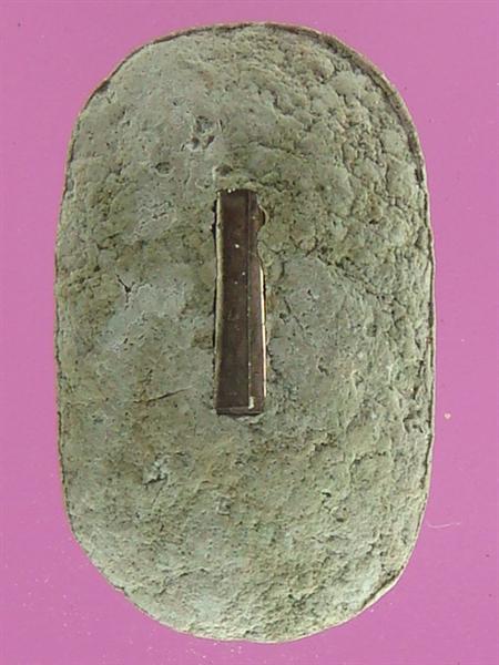 DSC09987 (Medium).JPG