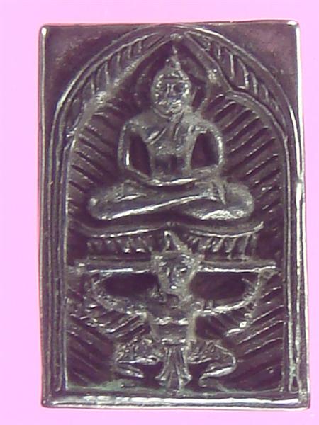 DSC09976 (Medium).JPG