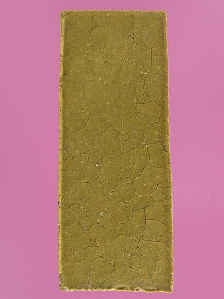 DSC09979 (Medium).JPG