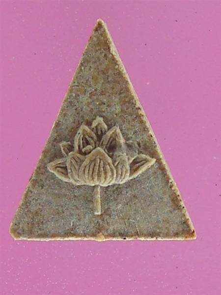 DSC09981 (Medium).JPG