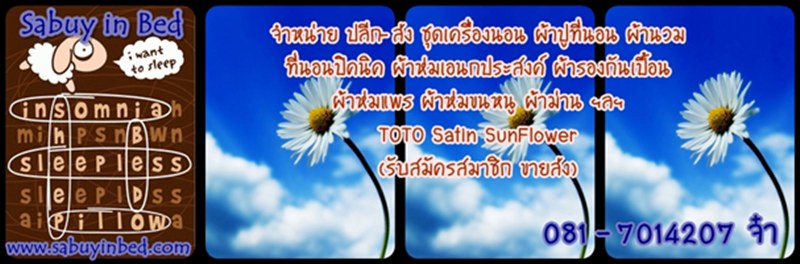 SabuyInBed2.jpg