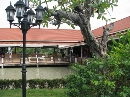 view.jpg