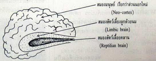 jpg_11.jpg