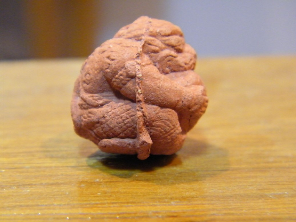 DSCF2588.JPG