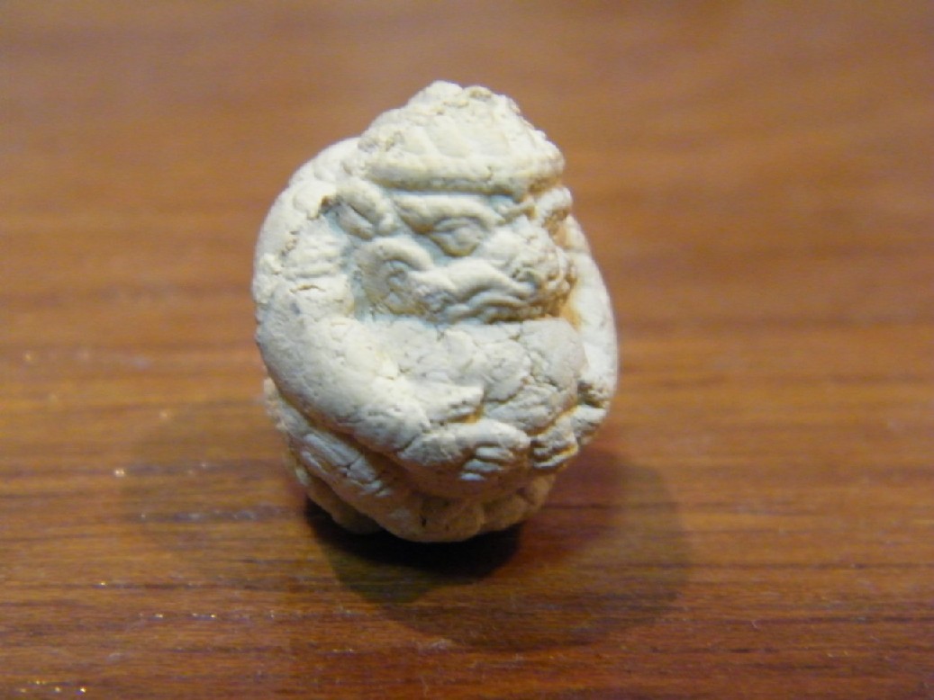 DSCF2585.JPG
