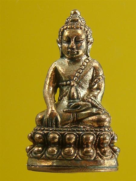 DSC01009 (Medium).JPG