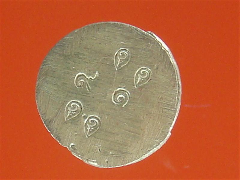 DSC01395 (Medium).JPG