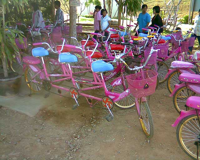 05.jpg