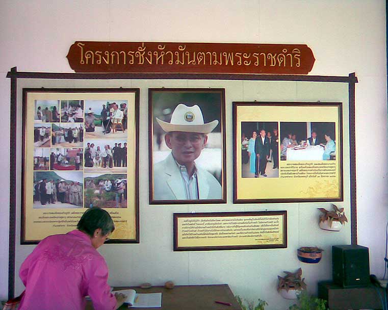 06.jpg