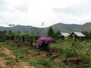 204.jpg