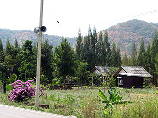 205.jpg