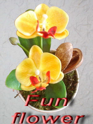 JPA07101.jpg