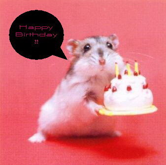 17birthdayhamstersd2.jpg
