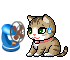 .gif
