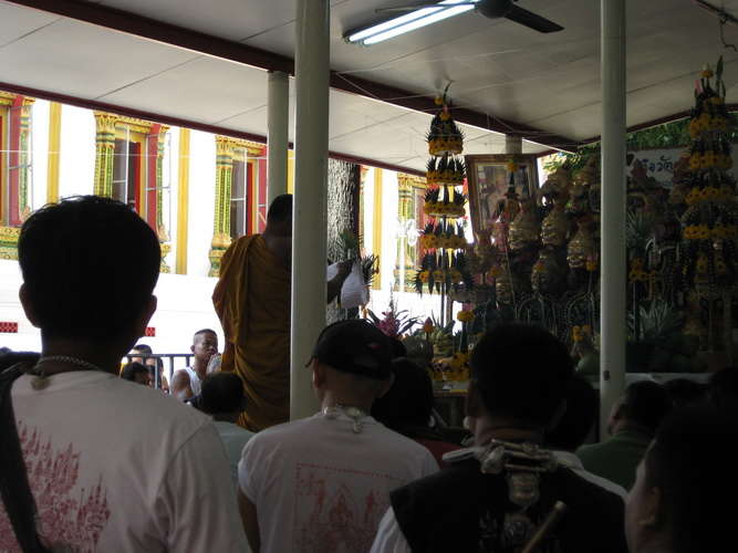 IMG_1954_resize.JPG