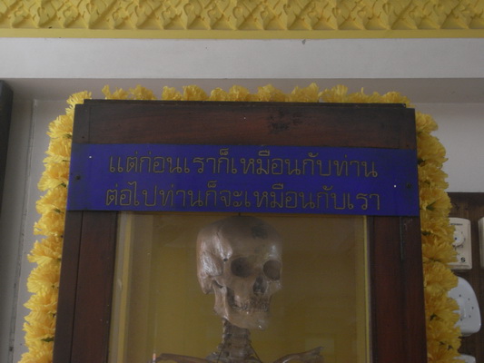 RIMG0234.JPG