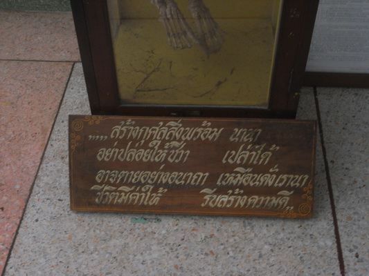 RIMG0236.JPG
