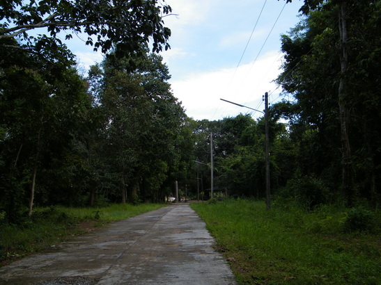 DSCF8511.JPG