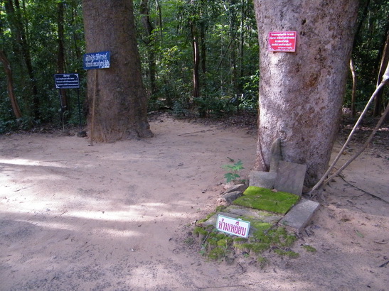 DSCF8534.JPG
