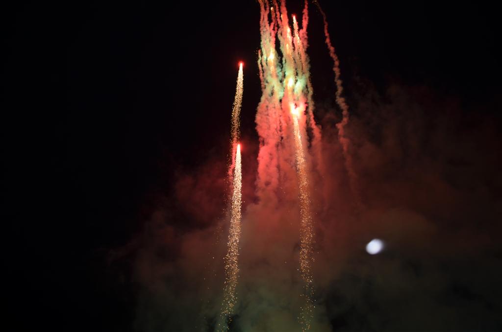 DSC_0356.jpg