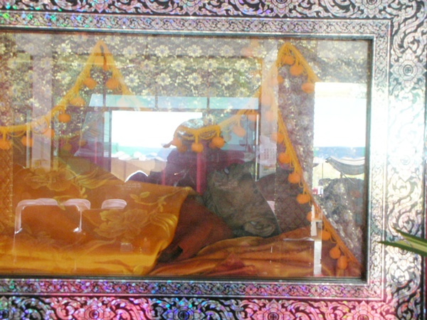DSCN2365.JPG