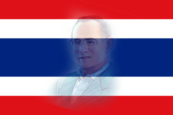 carabao-carabao-carabao-thailand264544694.jpg