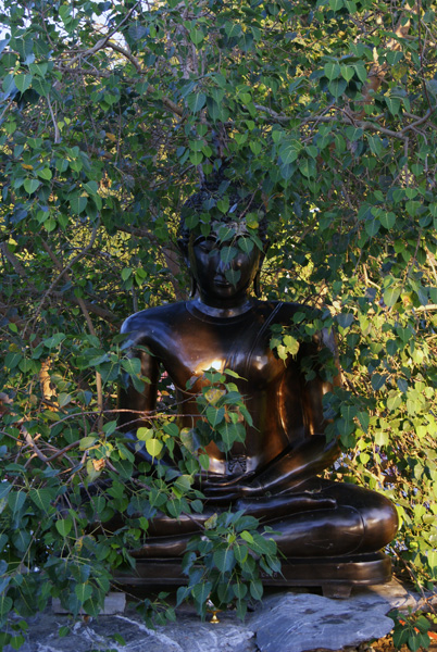 DSC00875.jpg