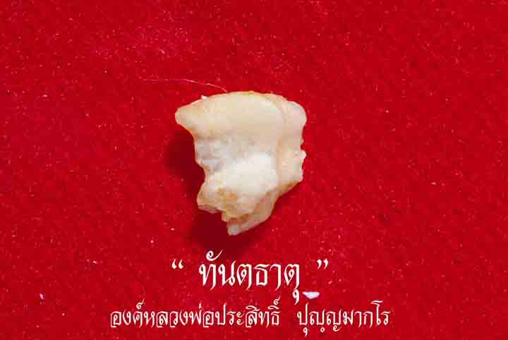 IMGP1303.jpg