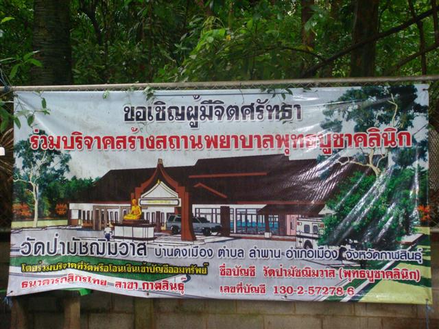 DSC08233 (Small).JPG