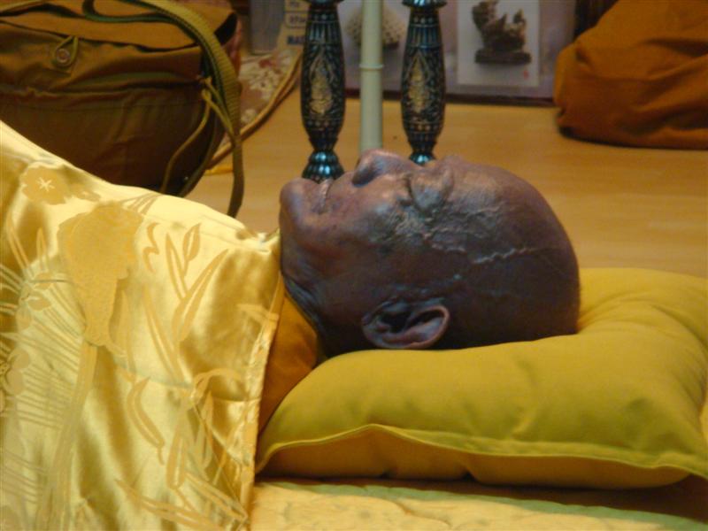 DSC08370 (Medium).JPG
