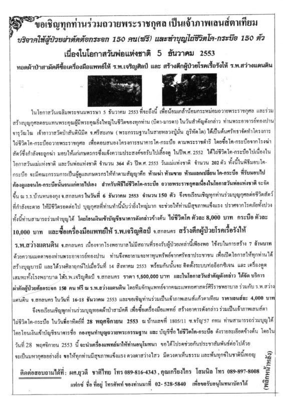p2.jpg